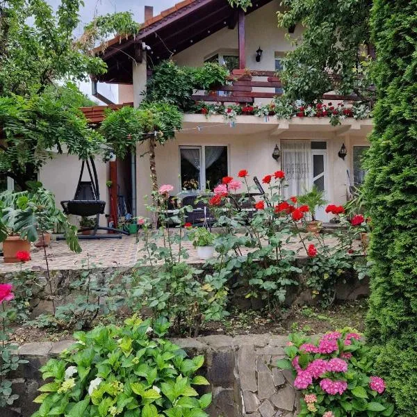 Casa Jan Bonca，位于Lorău的酒店