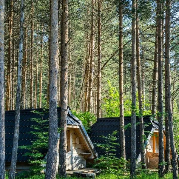 Chalets pod Gorom，位于扎布利亚克的酒店