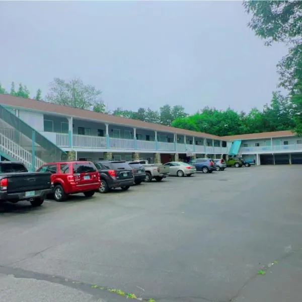 Hampton Motor Inn，位于汉普顿的酒店