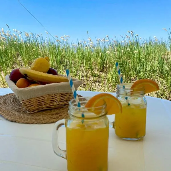 Beachfront Caravans，位于切尔诺莫雷茨的酒店