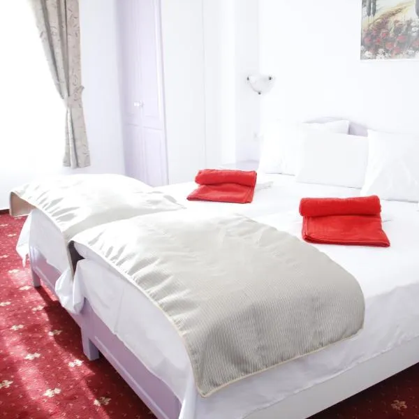 Hotel Exclusiv，位于蒂米什瓦拉的酒店