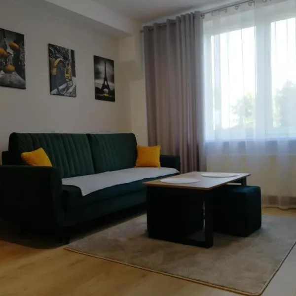 Apartament nad Węgorapą，位于Sztynort的酒店