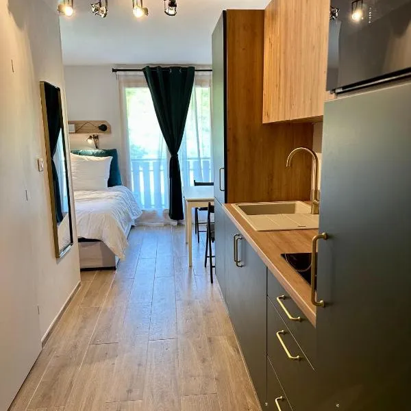 Somptueux studio de 17m2 Bernex，位于贝尔内的酒店