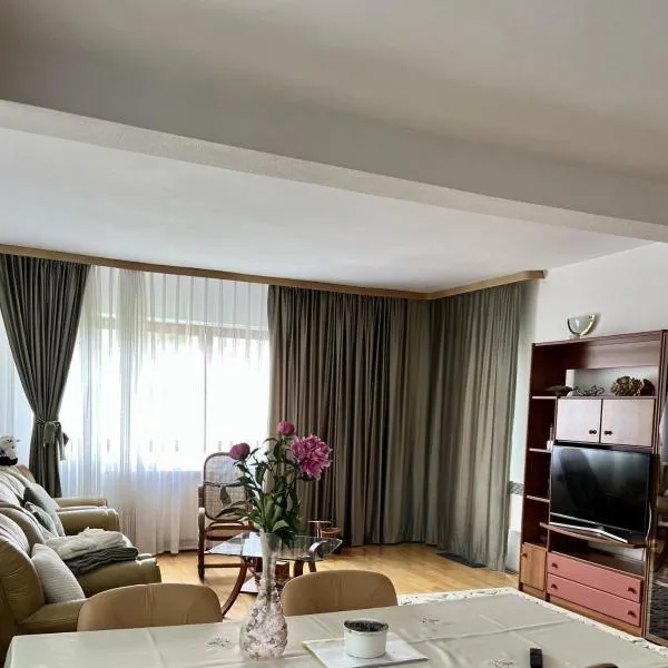 Apartament Confort - Baile Olanesti，位于Vaideeni的酒店