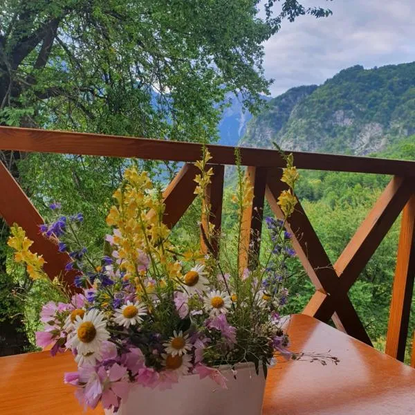 Villa Davisol，位于泰斯的酒店