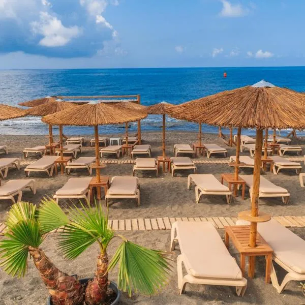 Tylissos Beach Hotel - Adults Only，位于Gra Liyiá的酒店