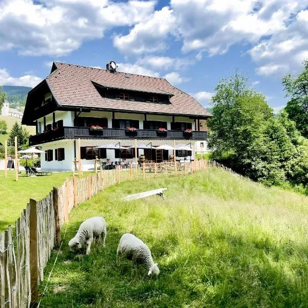 Pension Gasthof Arriach，位于Gnesau Sonnleiten的酒店