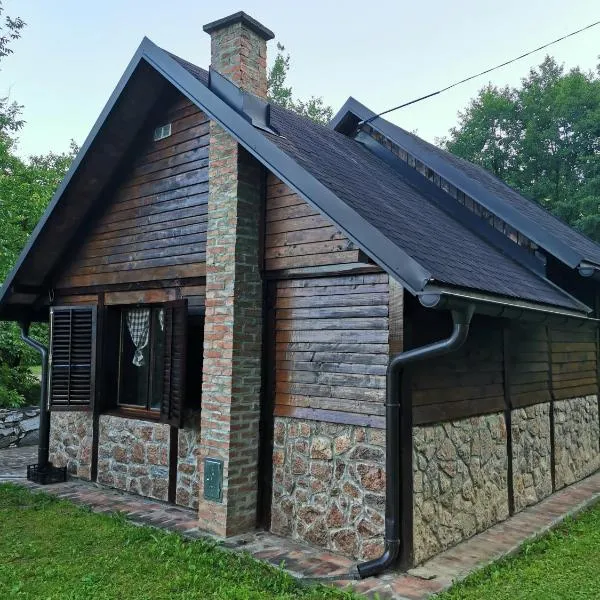 Vikendica na Drini DRINSKI ODMOR，位于Crnča的酒店