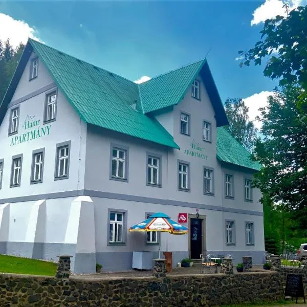 HAMR Apartmány，位于Přebuz的酒店