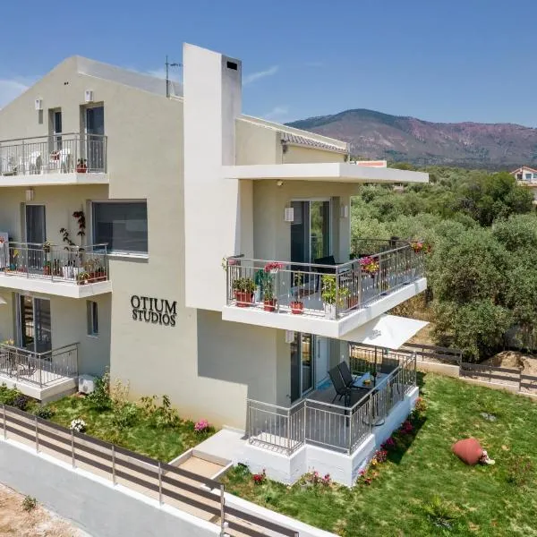 Otium Studios，位于利迈纳里亚的酒店