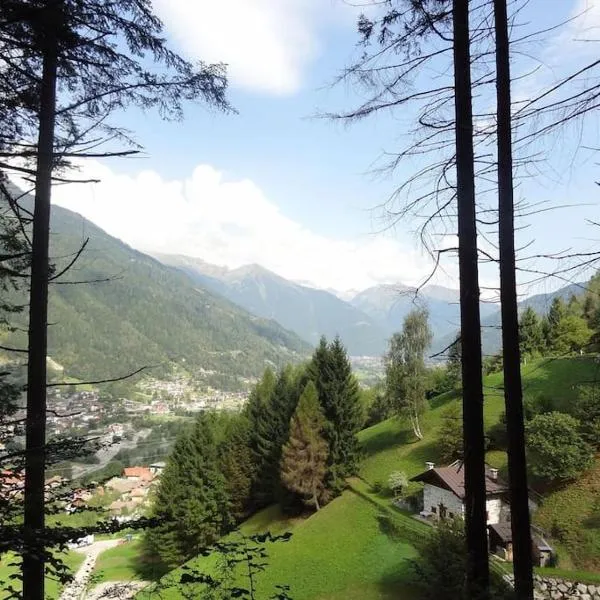 Chalet Maso Salam，位于博曾安古的酒店