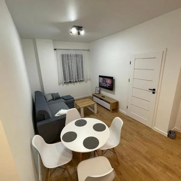 Apartamenty Lipowy Zakątek，位于伊拉华的酒店