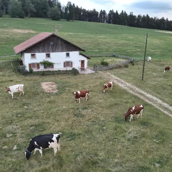 la ferme de la gaby，位于赛尼厄莱吉耶的酒店