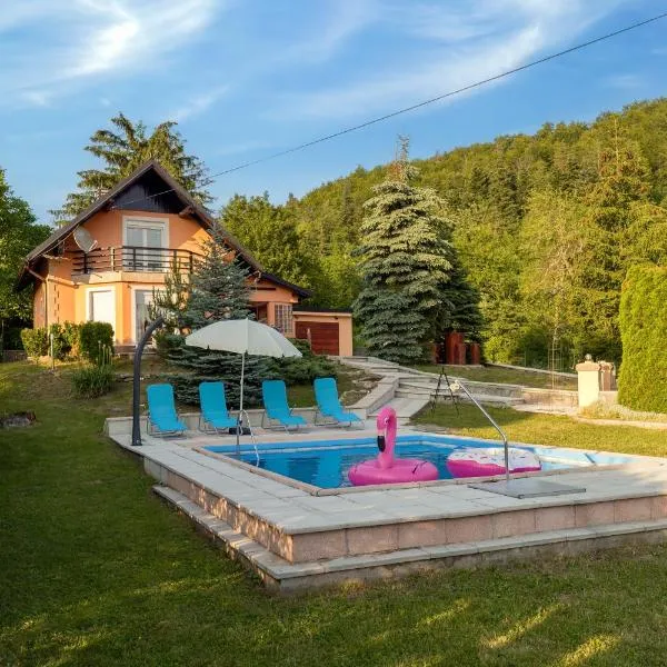 Villa Tratea - With Pool，位于Tomić Draga的酒店