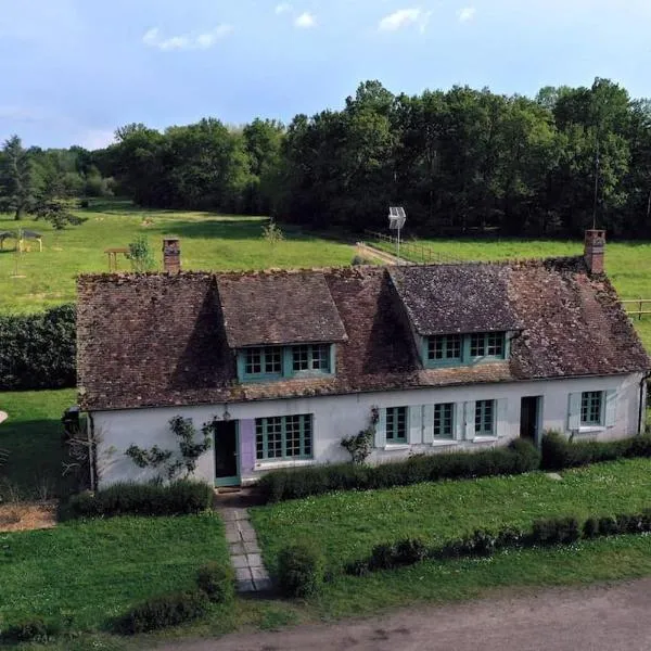 Gite La Vieille Ferme，位于Argent-sur-Sauldre的酒店