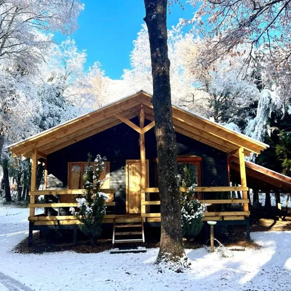 Cabañas Bosque las Trancas，位于奇廉内瓦达斯的酒店