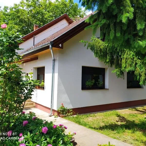 Dóra Apartman，位于巴拉顿扎佐的酒店