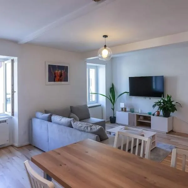 Appartement centre ville Rixheim，位于里克塞姆的酒店