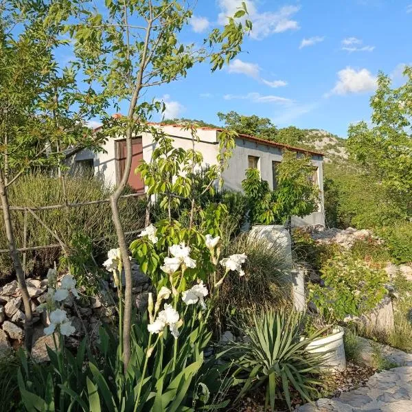 Robinson Haus PanoramA No Electricity，位于扎格沃兹德的酒店