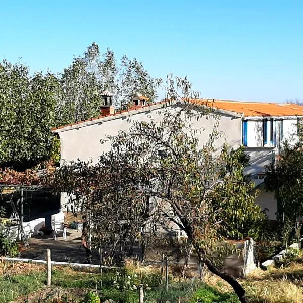 Vakantieboerderij La Balsa，位于Jerez del Marquesado的酒店