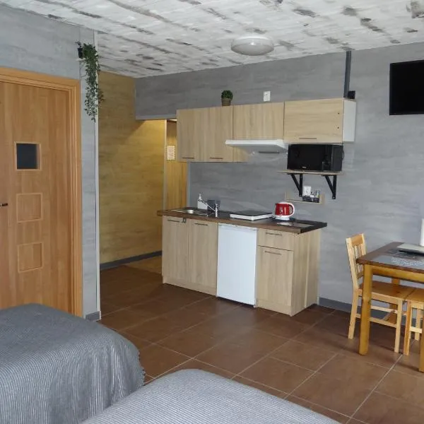 Hotel Apartamenty 72，位于Matyldów的酒店