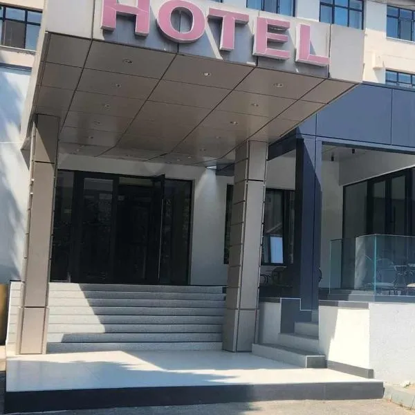 瓦斯卢伊酒店，位于Costeşti的酒店