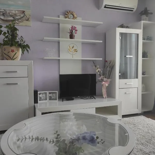 Apartman Ana，位于查普利纳的酒店