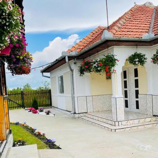 Casa Maria Platoul Luncanilor，位于Boşorod的酒店