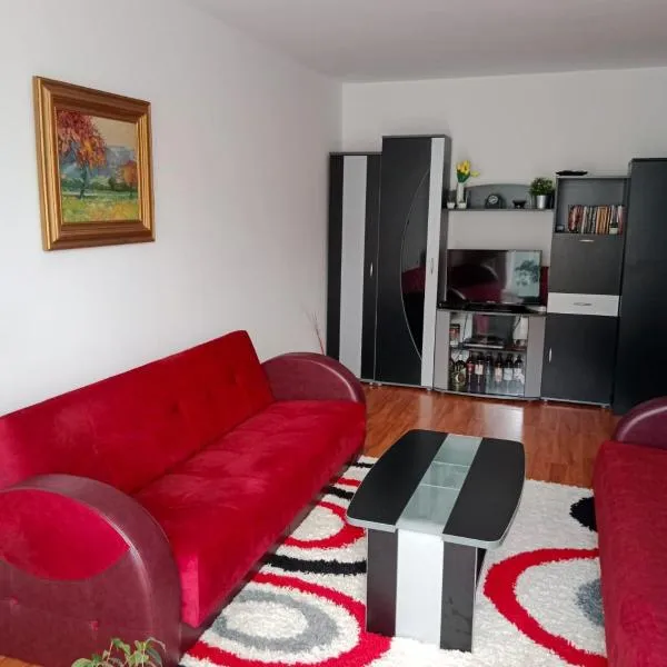 Apartman Dragana，位于皮罗特的酒店