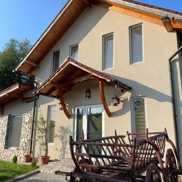 Pensiunea Casa Amy，位于Gladna Romînă的酒店
