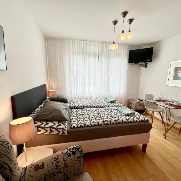 Apartmán u lesa, Srní 119，位于斯尼的酒店