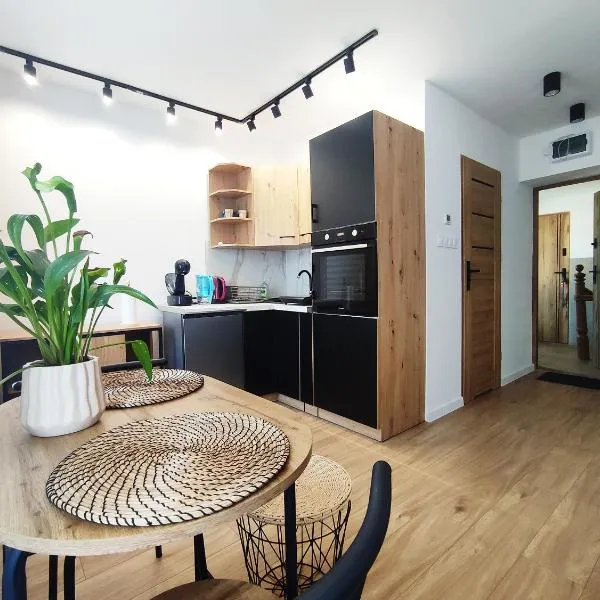 Apartamenty Anka Szczawno Zdrój，位于斯扎瓦诺泽德霍的酒店