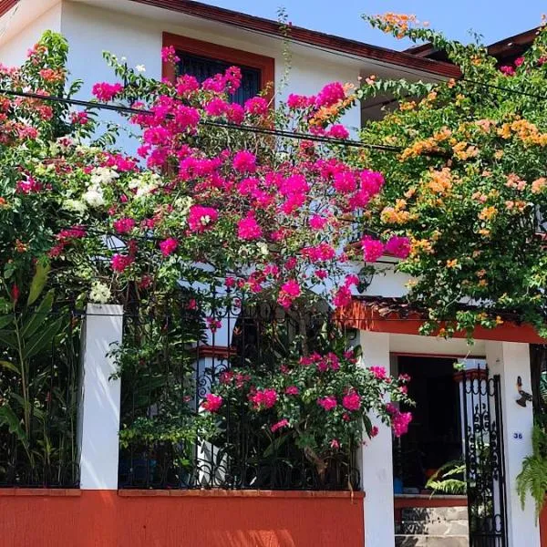Posada Bugambilias，位于Chacalapan的酒店