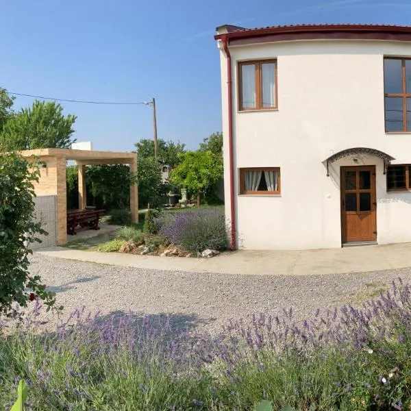 Fruška Gora Guesthouse，位于Irig的酒店