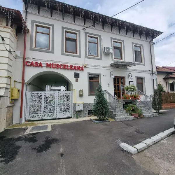 Casa Musceleana，位于Lereşti的酒店