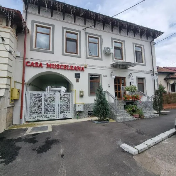 Casa Musceleana，位于Cîndeşti的酒店