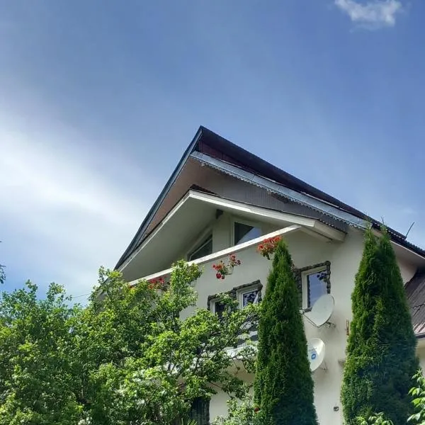 PERLA CĂLIMANILOR，位于瓦特拉多尔内的酒店