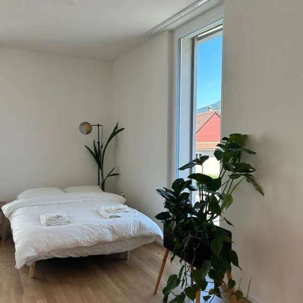 The R Apartment Passwang, KLIMA, NEU, Balkon, Parking，位于巴尔斯塔尔的酒店