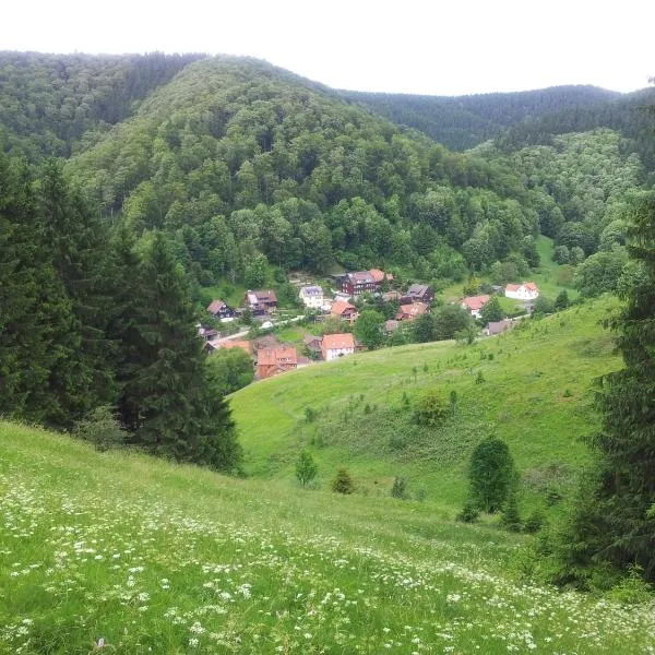 Sleep in Lerbach，位于奥斯特罗德的酒店