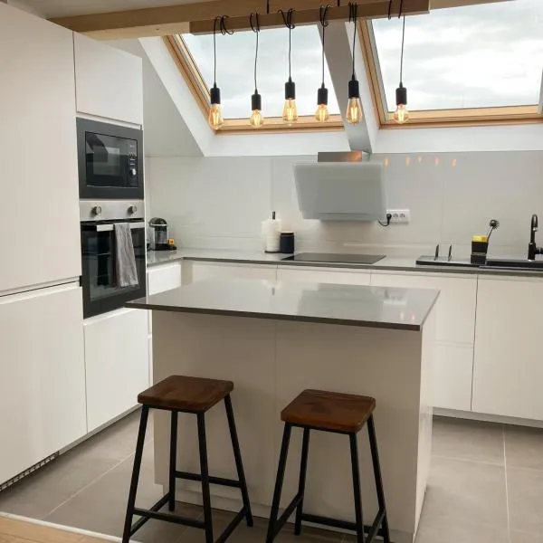 Agro Lux Apartment - Milenović，位于索科矿泉村的酒店