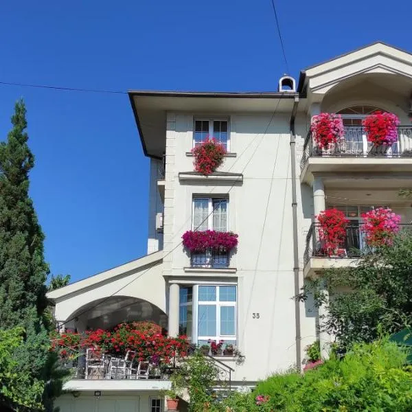 Vila Sentić，位于Vranjska Banja的酒店