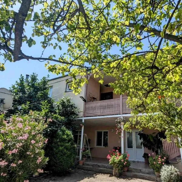 Kakheti Apartment，位于Dedoplis Tskaro的酒店