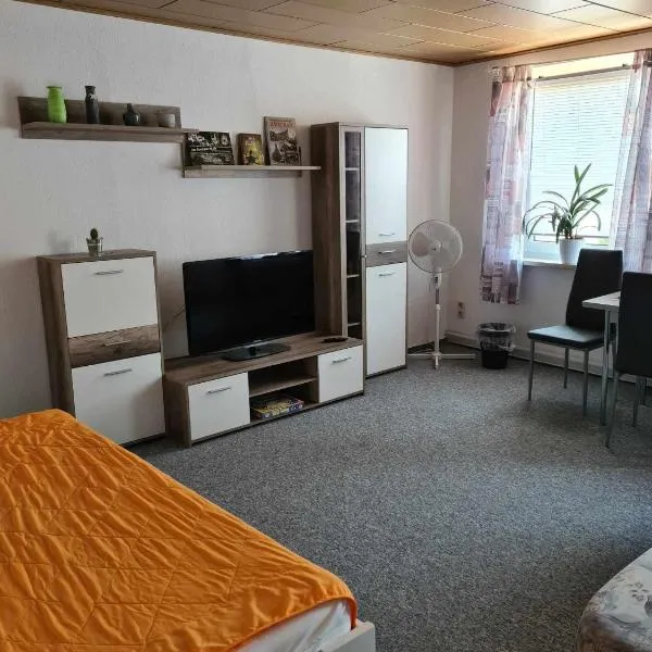2 Raum Wohnung im DG，位于茨维考的酒店