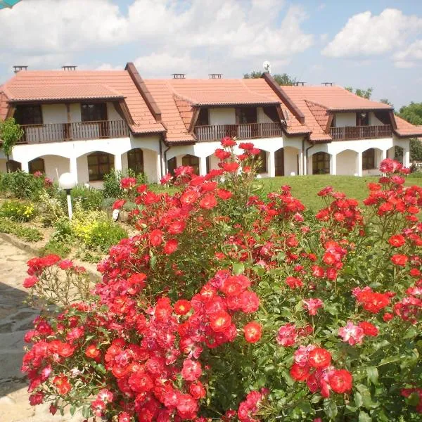 罗登克莱旅馆，位于Vlaychovtsi的酒店