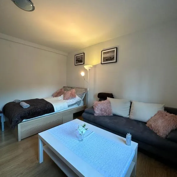 Nadmorski Apartament Nowy Port，位于格但斯克的酒店