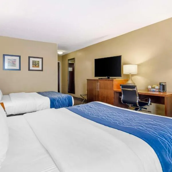 Comfort Inn & Suites Christiansburg I-81，位于Newbern的酒店