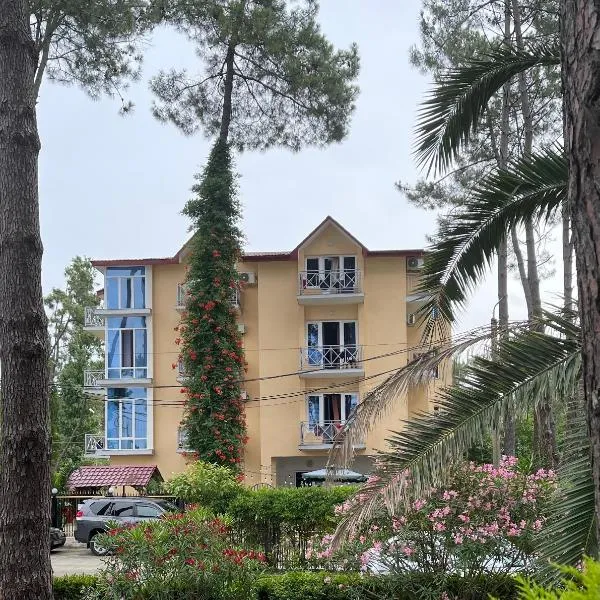 Hotel albatros shekvetili，位于Ozurgetʼi的酒店
