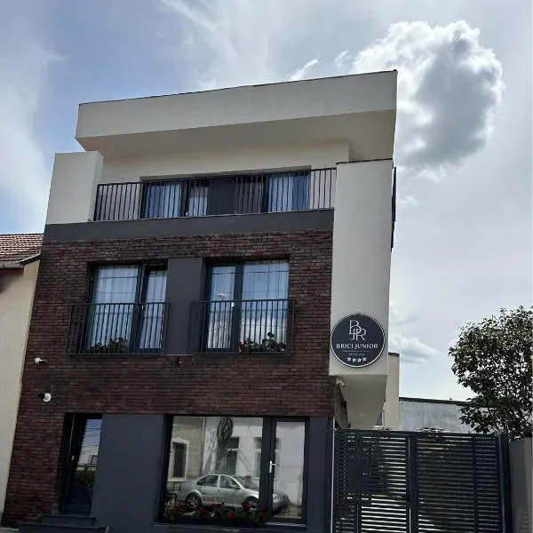 Pensiunea Brici Junior，位于克卢日-纳波卡的酒店