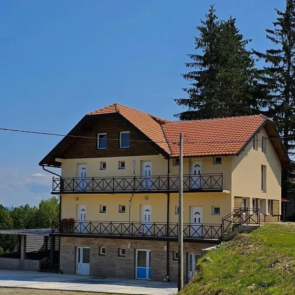 Zlatni bor apartmani，位于米特洛瓦克的酒店