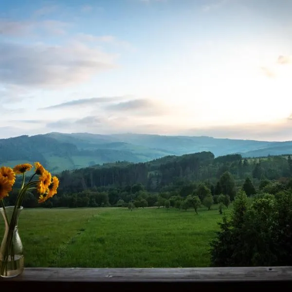 Hotel Kopanice，位于Bystřice pod Lopeníkem的酒店